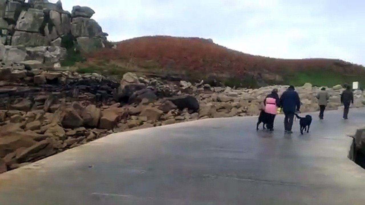 Tresco arrival