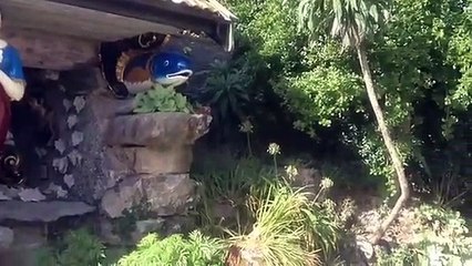 Valhalla museum Tresco Scilly