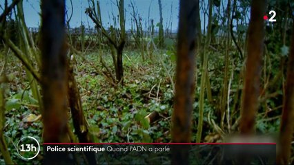 10 septembre 1984 : la fabuleuse découverte de l'empreinte génétique