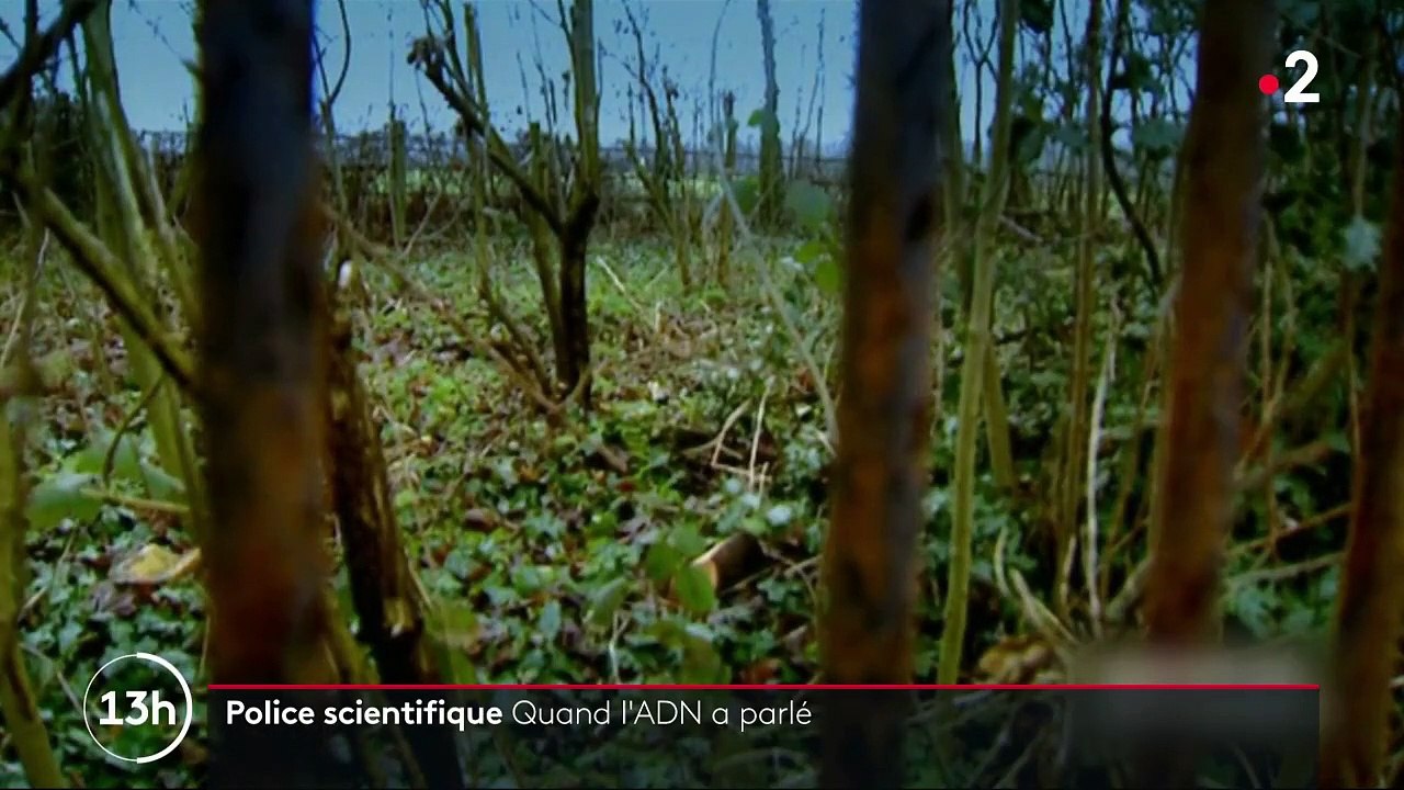 10 septembre 1984 : la fabuleuse découverte de l'empreinte génétique