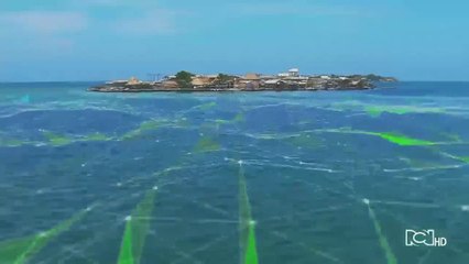 Emisión 11:00 p.m. / lunes 8 de junio de 2020