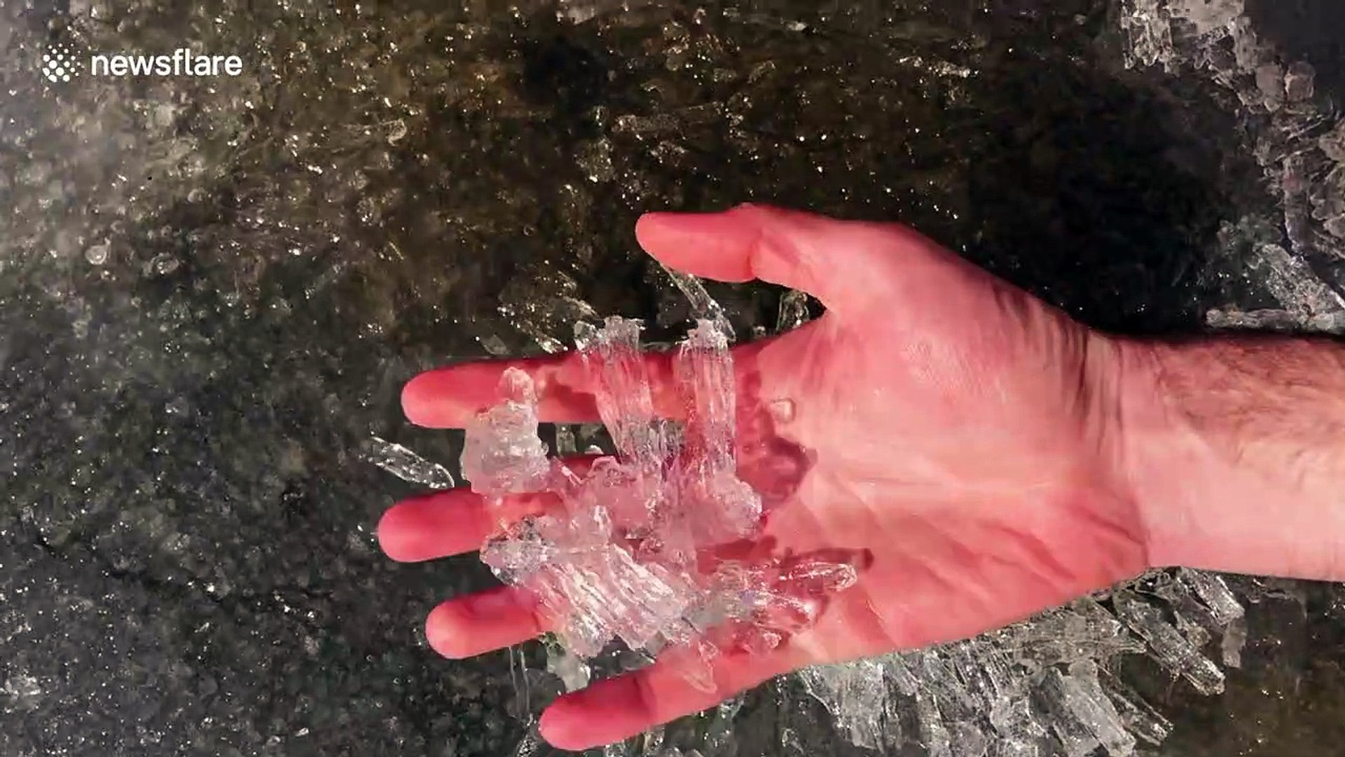 ⁣US man stumbles upon rare 'needle ice' formation in Alaska