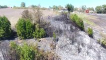 Sinop’ta yangın: 150 dönüm tarım arazisi zarar gördü