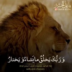 ياسر الدوسري  آيات قرآنية عذبة ⚡ أجمل حالات واتس اب دينية مقاطع دينية قصيرة مقاطع انستقرام دينية