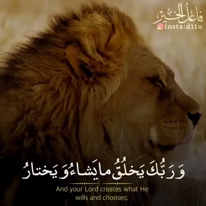 ياسر الدوسري  آيات قرآنية عذبة ⚡ أجمل حالات واتس اب دينية مقاطع دينية قصيرة مقاطع انستقرام دينية