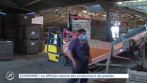 ECONOMIE / Le difficile rebond des producteurs de patates