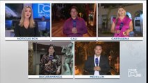 Autoridades investigan muerte de ocelote en Antioquia