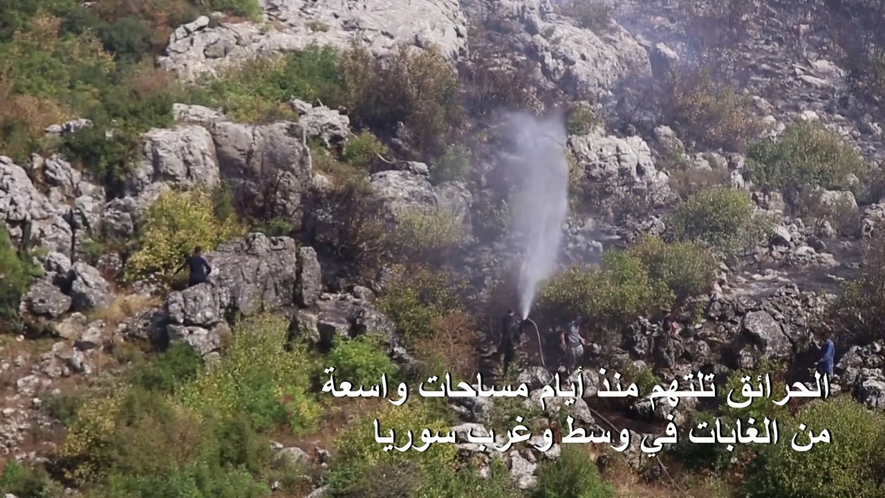 حرائق تلتهم مساحات واسعة من الغابات في وسط وغرب...