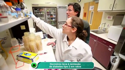 Hormônio leva à remissão de diabetes tipo 2 em ratos