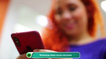 WhatsApp testa novos recursos