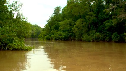 7est-ecoturismo-100920