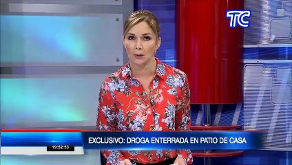 EXCLUSIVO | Miles de dosis de cocaína fueron halladas en el patio de una casa en el cantón Rumiñahui, provincia de Pichincha