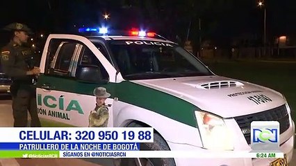 Rescataron a un oso perezoso en una vivienda del sur de Bogotá