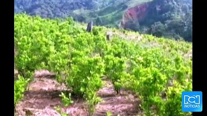 Las críticas del procurador Ordóñez a los diálogos de paz