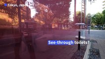 Take a pee in Tokyo park's transparent public toilets