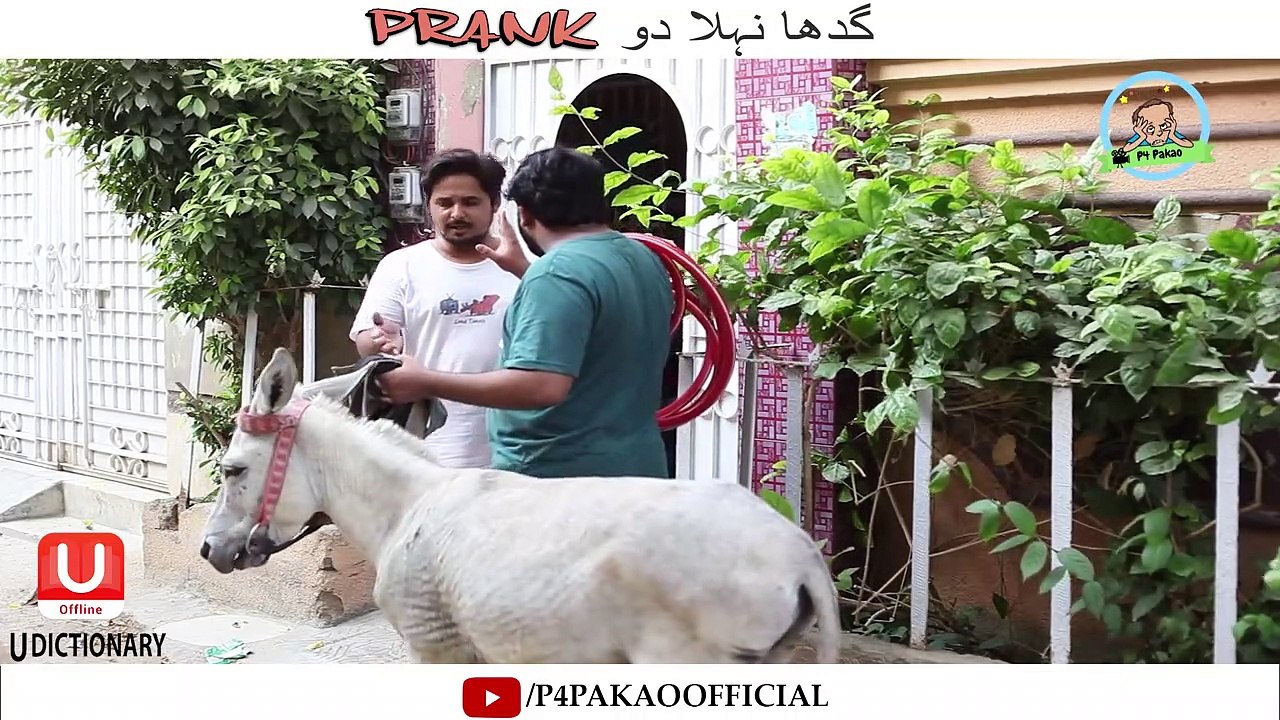 Gadha Nihla Do  Prank By Nadir Ali & Team P4Pakao