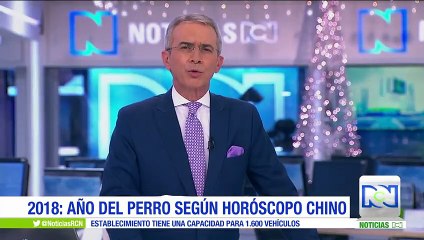 Perros de trineo en Rusia acaparan las miradas y los mimos