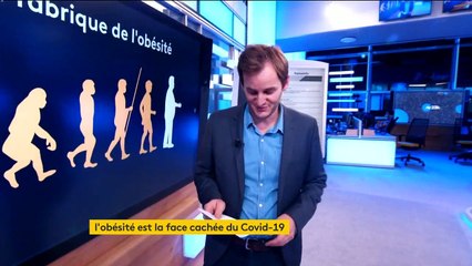 Santé : 710 millions de personnes obèses dans le monde