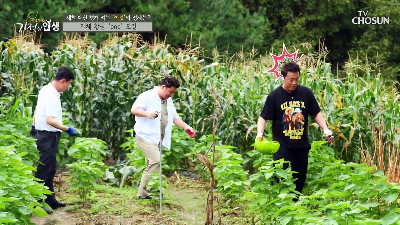 ‘심방세동’ 극복한 주인공의 비법은 ▸◇◇◇오일◂