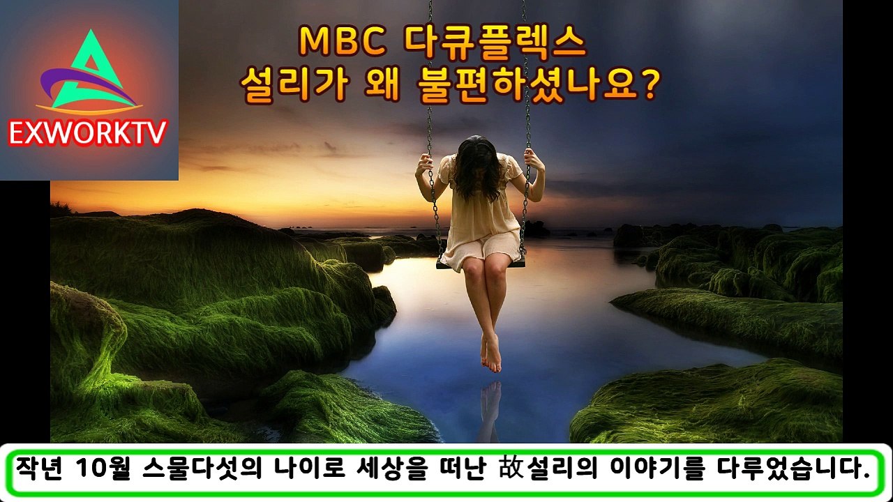 다큐플렉스 설리가 왜 불편하셨나요? 최자,장례식,엄마,직캠,인스타라이브방송,고블린,아이유,구하라,라이브,서동요,태연,크리스탈,사주,