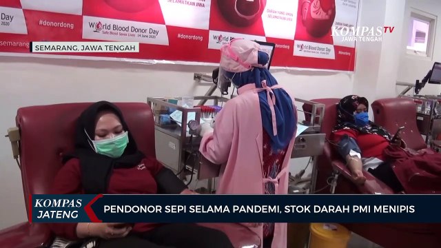 Pendonor Sepi Selama Pandemi, Stok Darah PMI Menipis
