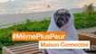 #MèmePlusPeur - Maison Connectée - Orange