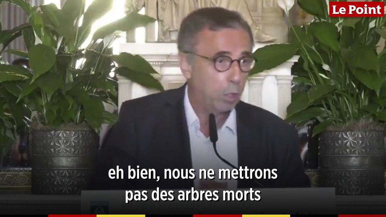 À Bordeaux, exit le sapin de Noël, « un arbre mort » pour le maire Pierre Hurmic