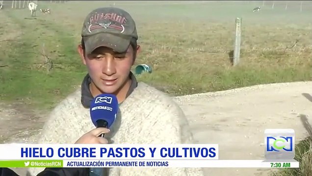 Campesinos de Boyacá temen que las heladas les dañen los cultivos o el ganado