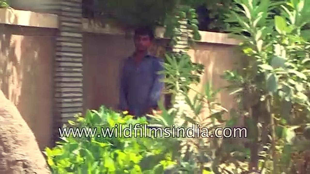 Roadside Peeing in India - when will we ever learn%3F