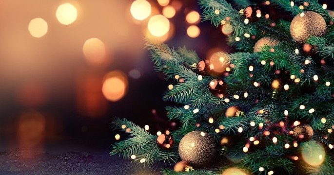 Bordeaux : le maire écolo enlève les sapins des décorations de Noël, refusant de « mettre des arbres morts » dans la ville