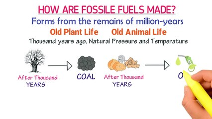 Télécharger la video: Fossil Fuels _ How are Fossil Fuels Formed _ Fossil Fuels Uses _ Burning of Foss