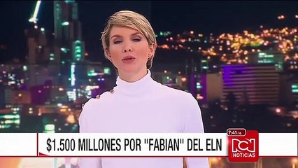 Ejército ofrece millonaria recompensa por jefes del ELN en Chocó