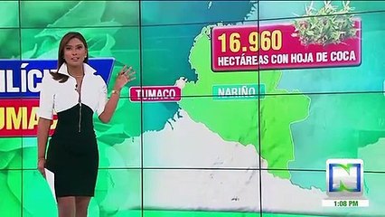 Tumaco, el principal productor de hoja de coca en Colombia