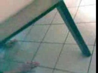 Benjamin et max ss l'baby