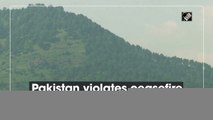 Pakistan violates ceasefire in J&K’s Poonch