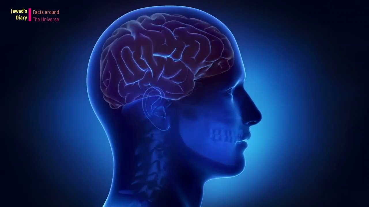 What will happen if the earth runs out of water? And Other Random Facts | Jawad's Diary