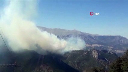 Osmaniye'de orman yangını