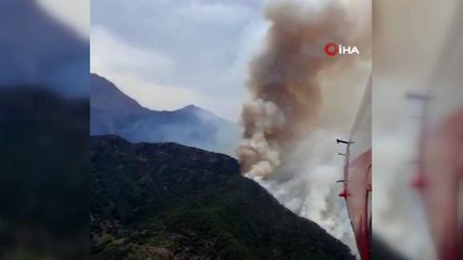 Osmaniye'de orman yangını