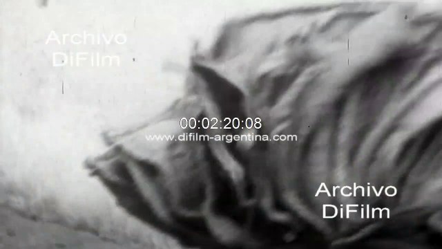 Ciudad de Quito - Puestos callejeros - La Ronda - Puente de los Gallinazos 1972