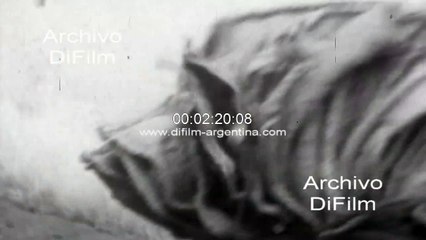 Ciudad de Quito - Puestos callejeros - La Ronda - Puente de los Gallinazos 1972