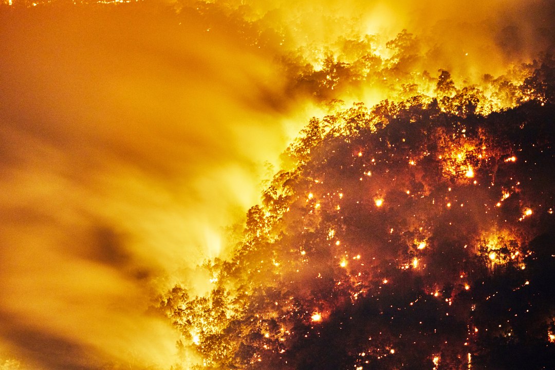 Incendies géants en Californie : la menace grandissante des mégafeux