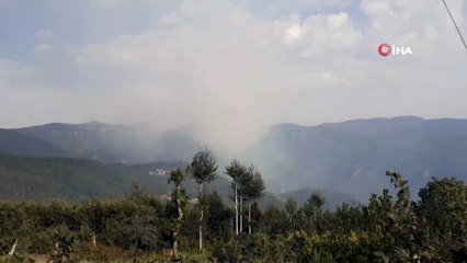Amanoslarda orman yangını