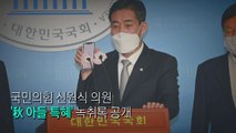[영상] 추미애 아들 의혹 정리 / YTN