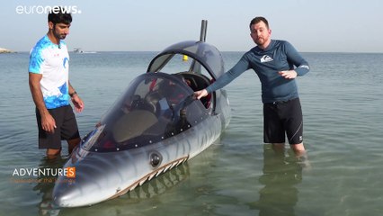 A hullámok hátán egy cápa belsejében