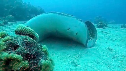 דוברות רשות הטבע והגנים צילום: דורון בראש