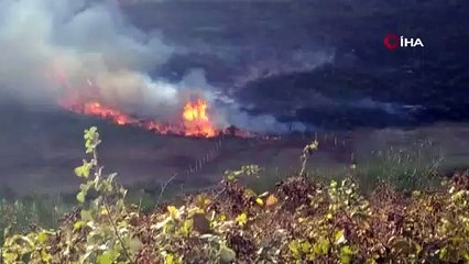 Arnavutköy’de çalılık alanda yangın