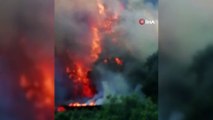 Bursa'da korkutan yangın... Tavuk çiftliğinde başlayan yangın ormana sıçradı