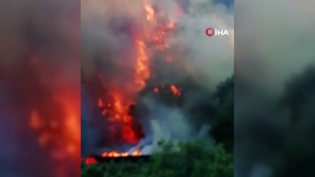Bursa'da korkutan yangın... Tavuk çiftliğinde başlayan yangın ormana sıçradı