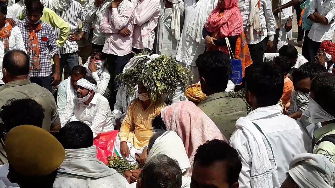 -खराब हुई फसल को सिर पर रखकर कलक्ट्रेट पहुंचे भाजपा प्रदेश मंत्री