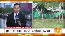 Tres guerrilleros se habrían fugado de zona de concentración